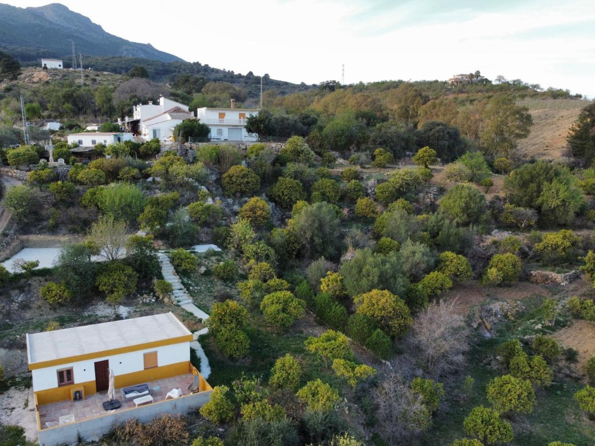 Finca Martina Apartment Casarabonela Bagian luar foto