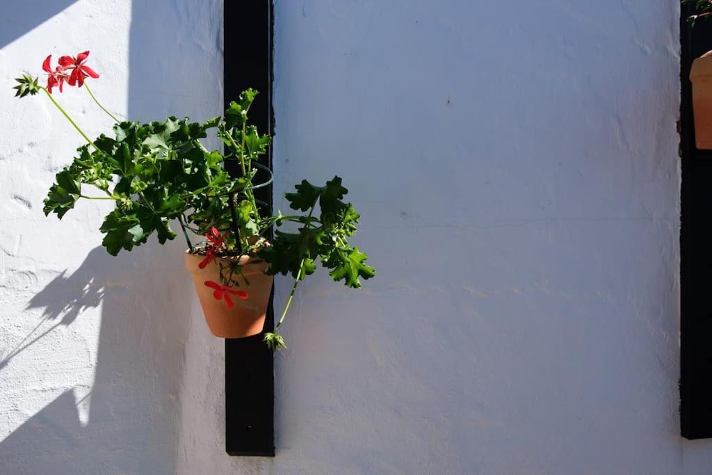 Finca Martina Apartment Casarabonela Bagian luar foto