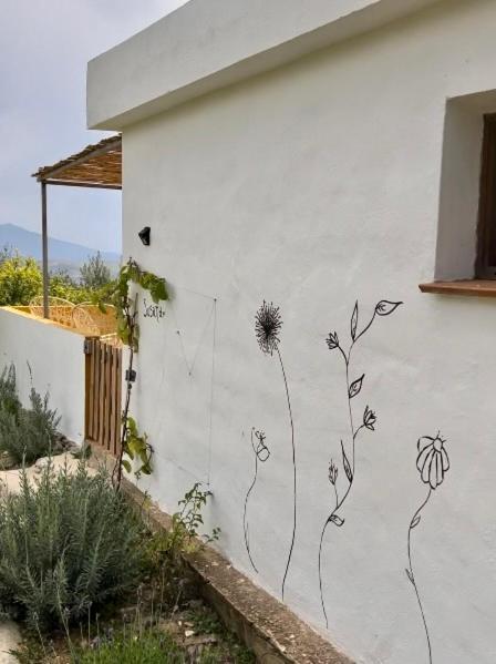 Finca Martina Apartment Casarabonela Bagian luar foto