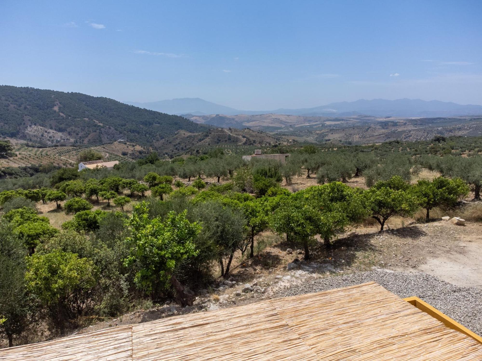 Finca Martina Apartment Casarabonela Bagian luar foto